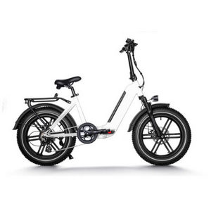 Electric fat bike 48v 1000w e bike 500w electric bicycle