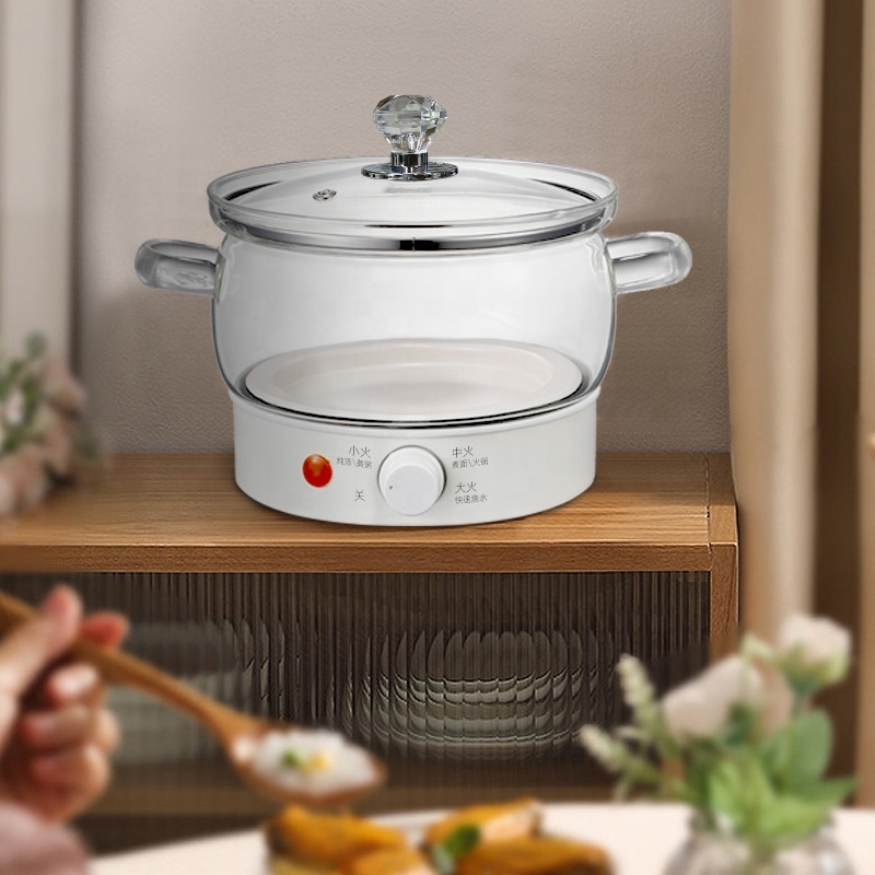 Wide Diameter  Multi functional Electrical Healthy Glass Cooking Pot 1350 High Power for Quick Cooking