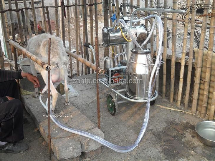 milking machine sex/mobile vacuum pump type penis milking machine sex/single cow portable milking machine