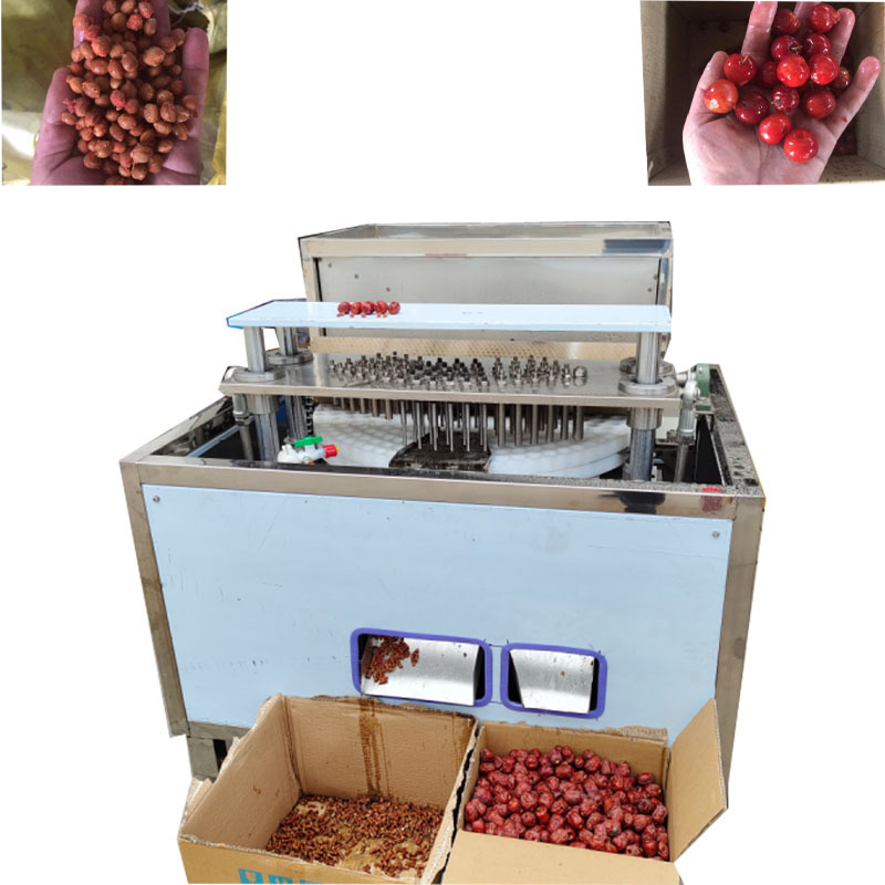 high efficiency grape seed remover for snack food forming new scale date palm seed removing machine with reasonable price