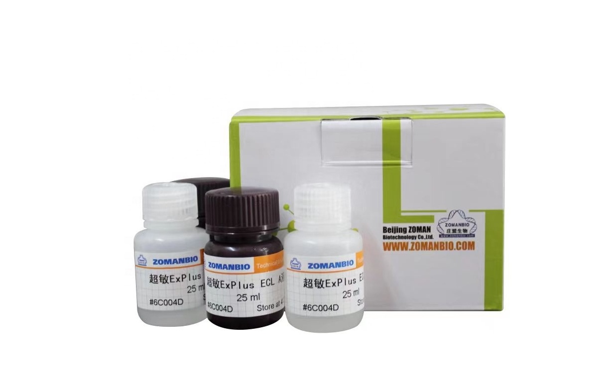 ECL Chemiluminescent Detection Kit luminescent solution New Generation Chemiluminescent Substrate Reagents