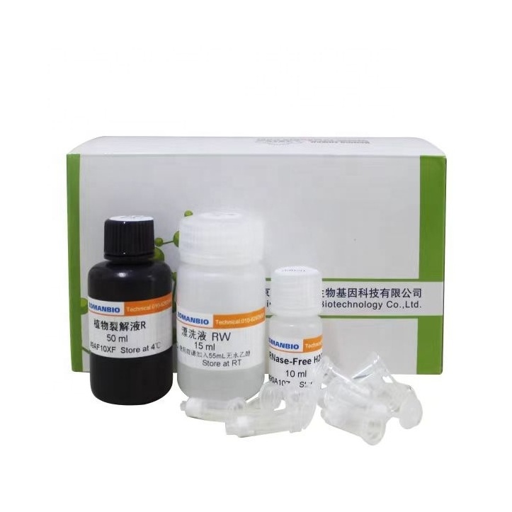 ECL Chemiluminescent Detection Kit luminescent solution New Generation Chemiluminescent Substrate Reagents