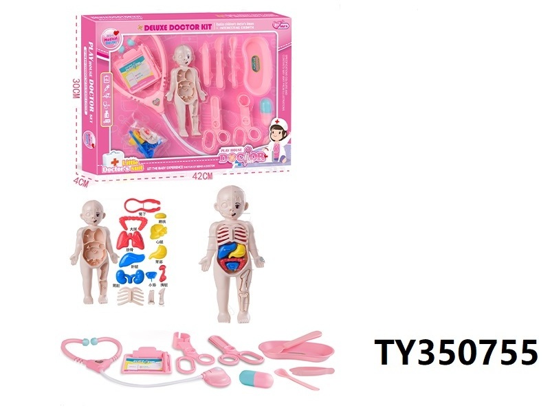 DIY Assembled Medical Human Organ Model Plastic Body Bone Dissecting Human Anatomy Toy