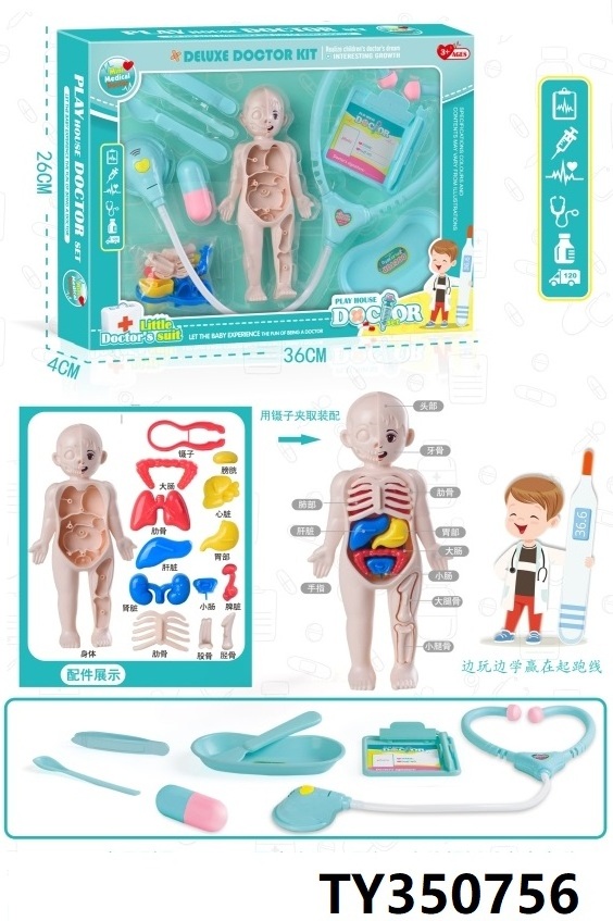 DIY Assembled Medical Human Organ Model Plastic Body Bone Dissecting Human Anatomy Toy