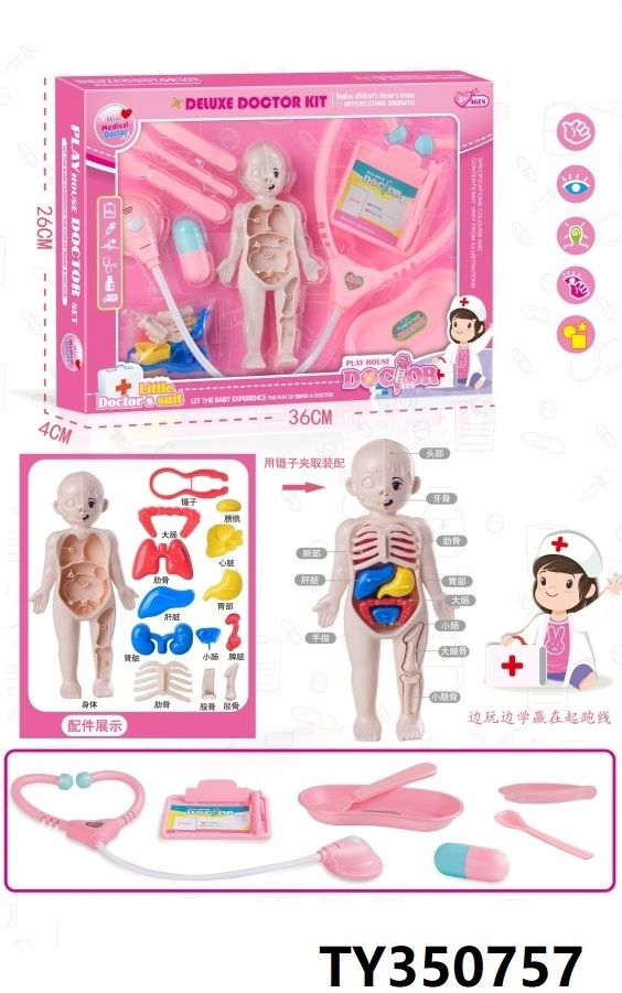 DIY Assembled Medical Human Organ Model Plastic Body Bone Dissecting Human Anatomy Toy