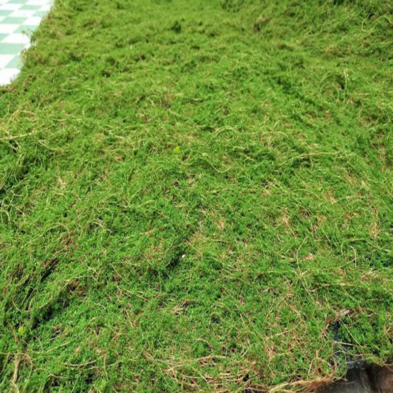 Home Decoration Artificial Moss Turf Grass Wall Art Artificial Plant Panels 3D Moss Grass Wall For Decoration