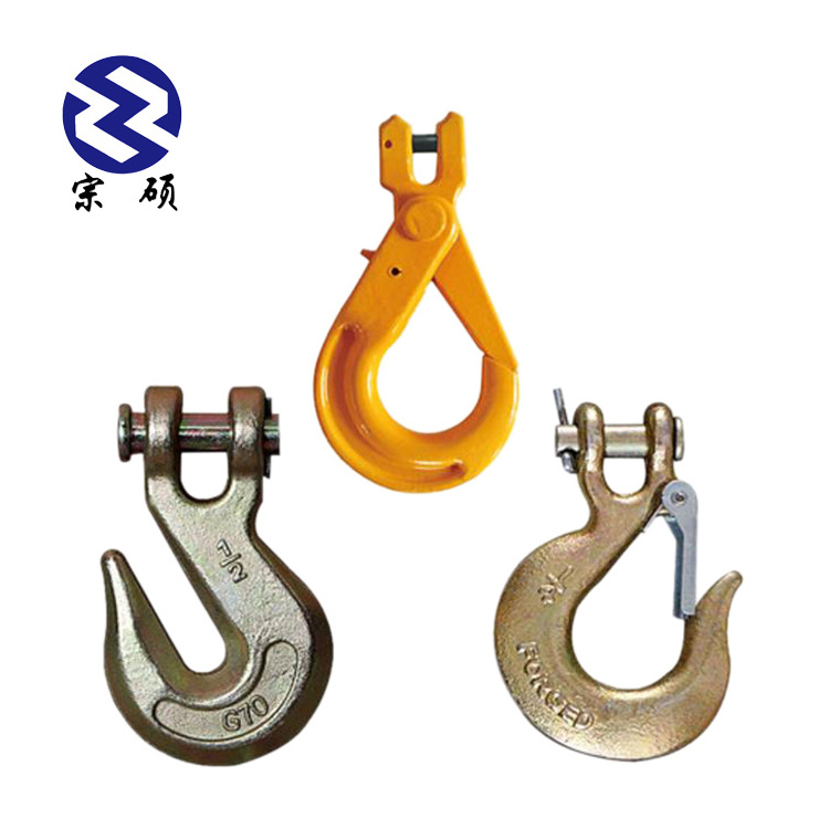 Galvanized Chain Hoist Safety Alloy Steel Drop Forged Lifting Eye Hook with Latch