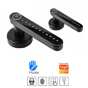 Locstar Wifi TTlock App Smart Door Lock Biometric Lock Fingerprint Door Office Handle Digital Keyless Lock