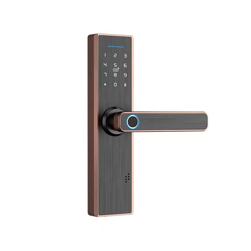 Tuya Outdoor Waterproof Smart Gate Lock Wifi Handle Fingerprint Smart Locks Hidden Electric Large Storage Cabinets Doors Lock