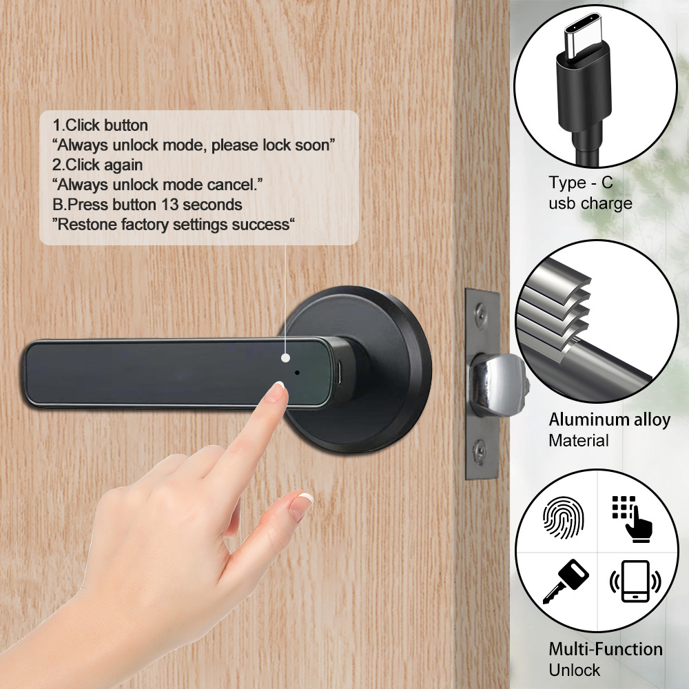 Fingerprint Door Lock Tuya App smart Door fingerprint handle pass word fingerprint door lock biological recognition lock