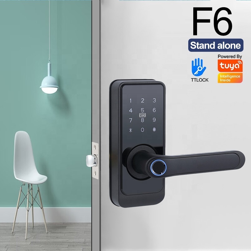 Digital Fingerprint electronic lock mechanical key WIFI APP Control home smart door locks wifi For Front Door