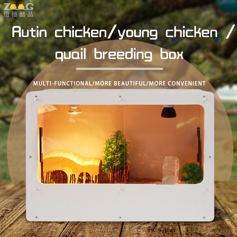 Rutin chicken breeding box Heated chick rearing case baby bird cage for wholesale