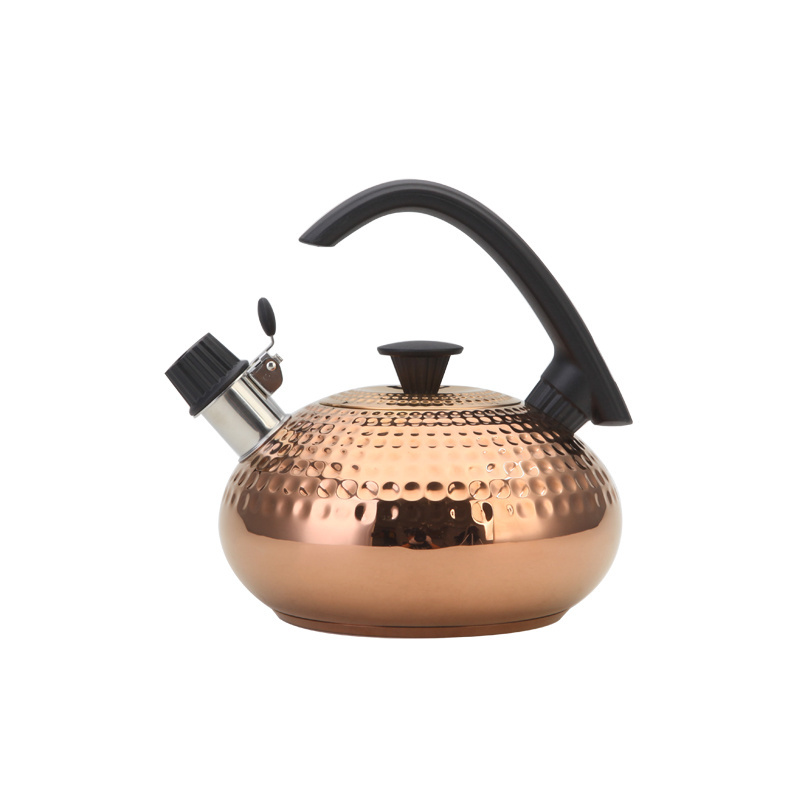 Factory wholesale high quality new design teapot Star Camping painted anti-hot design stainless steel whistle kettle