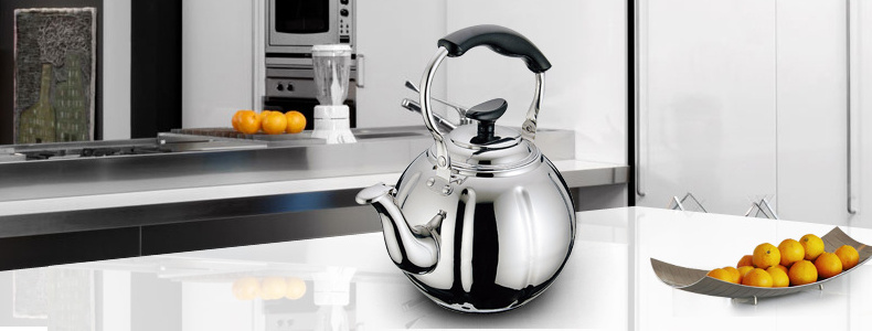 Factory wholesale High quality unique design induction gas teapot insulated handle silver stainless steel kettle