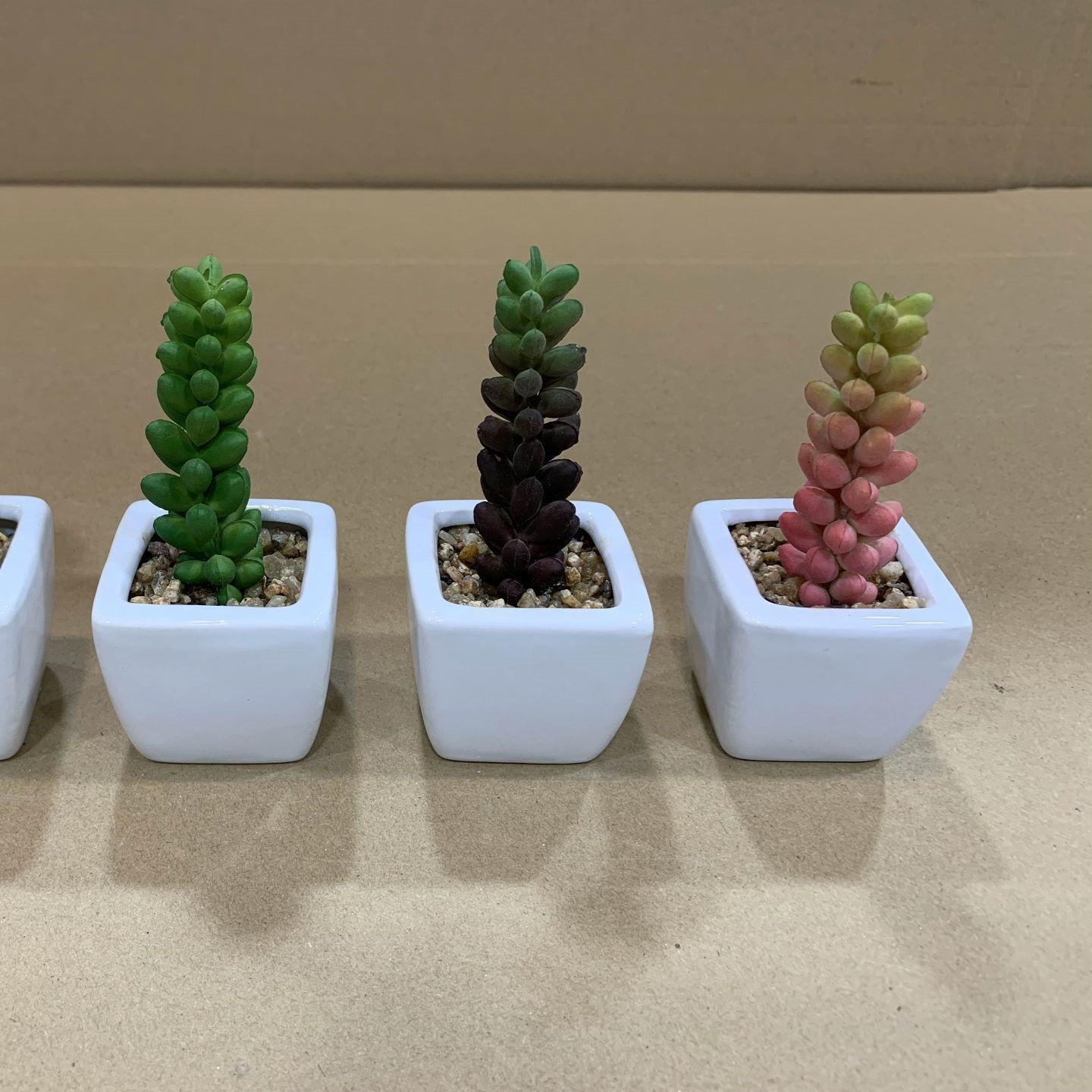 Succulents Live Plants Echeveria New Design Artificial Plastic Succulent Pots Bulk Cactus White Bamboo Small Pot Succulent