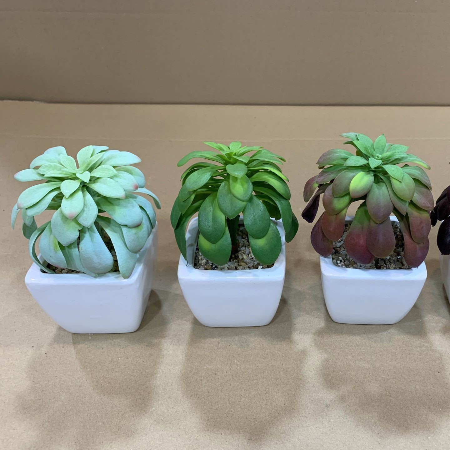 Succulents Live Plants Echeveria New Design Artificial Plastic Succulent Pots Bulk Cactus White Bamboo Small Pot Succulent