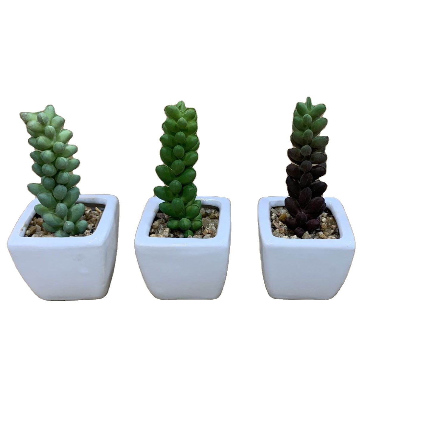 Succulents Live Plants Echeveria New Design Artificial Plastic Succulent Pots Bulk Cactus White Bamboo Small Pot Succulent