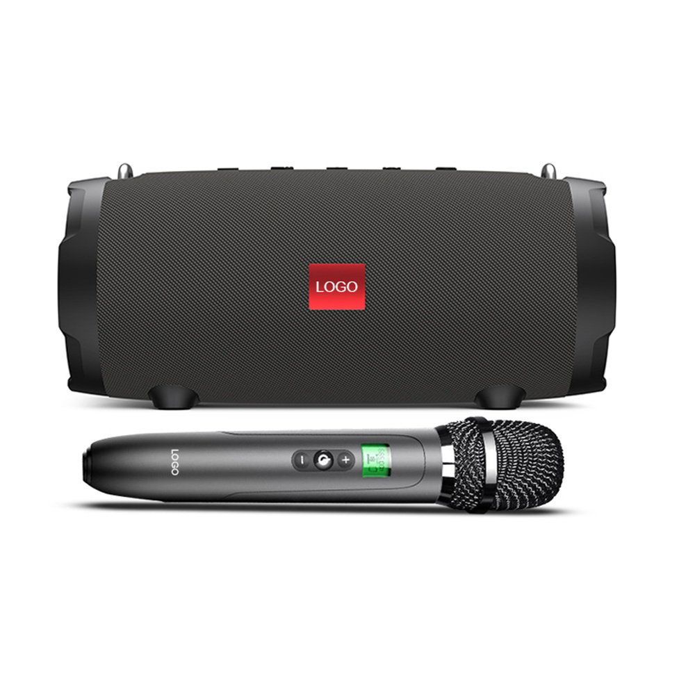 P9mini UHF 40W Waterproof IPX5 Bass Professional Audio Wireless BT 5.0 Mini Portable Speaker with Wireless Handheld Microphone