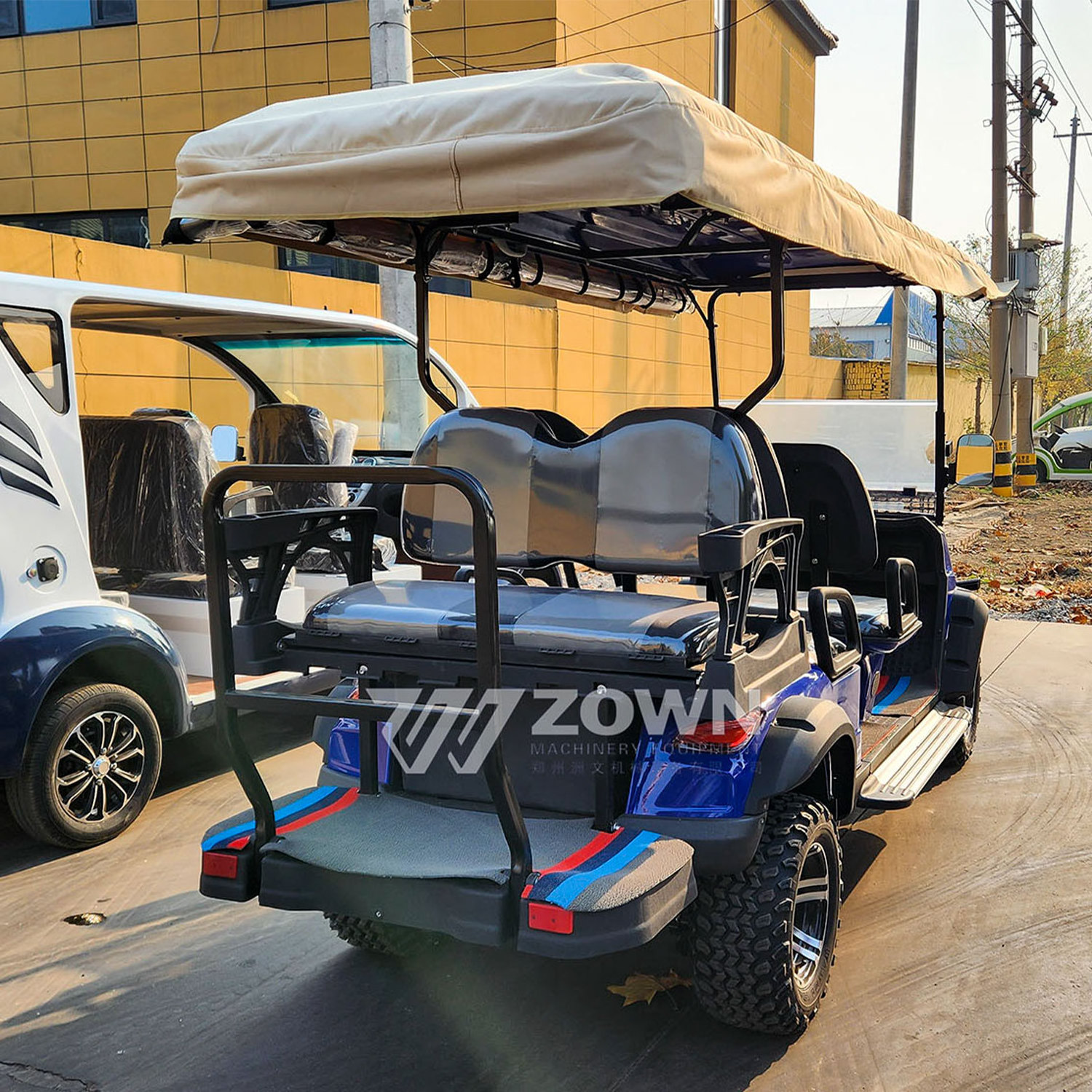 New high performance electric golf cart with canopy