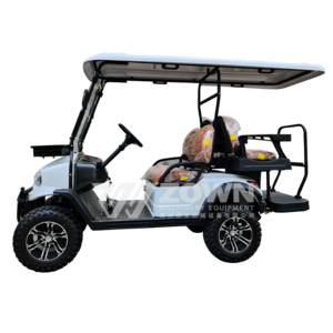 Factory direct sale the new fully powered electric beach vehicle dune buggy and four seats, off-road electric golf cart