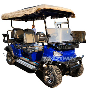 New high performance electric golf cart with canopy