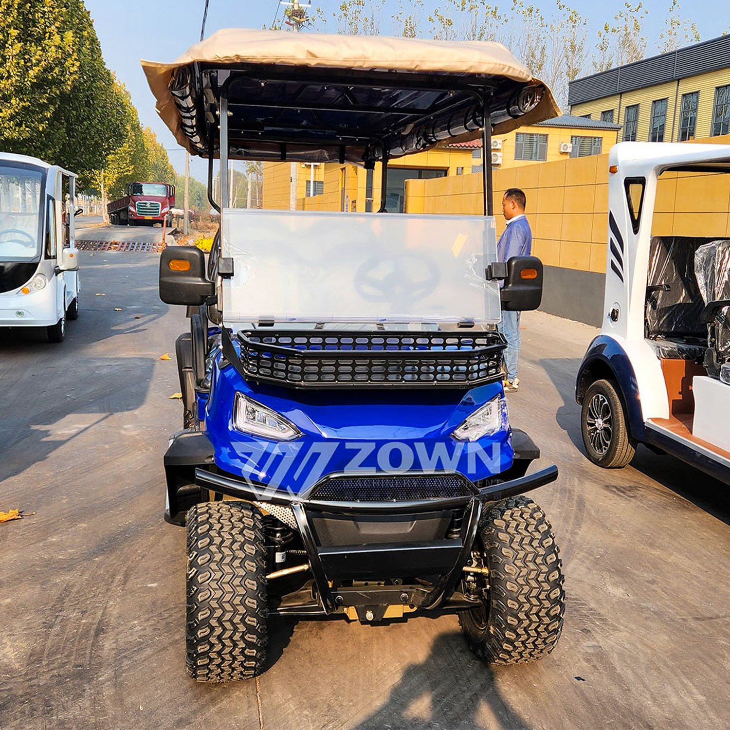 New high performance electric golf cart with canopy