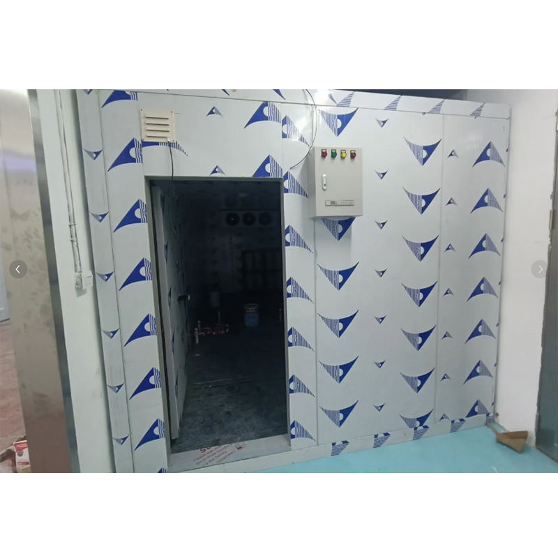 Fire proof Insulated PU Foam Sandwich Panel Stainless Steel Electric Double-opening Cold Storage Room Sliding Doors