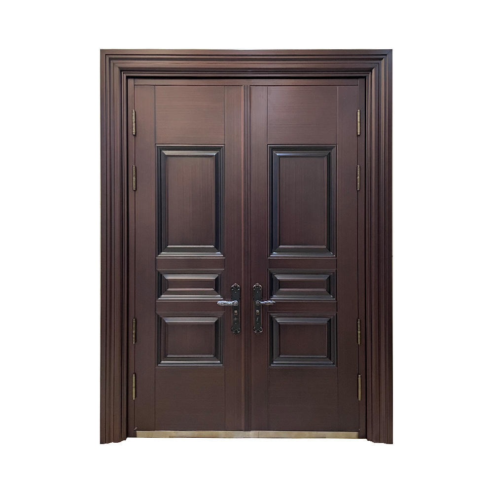 hot sale with modern Luxury design high quality low price single exterior security steel door