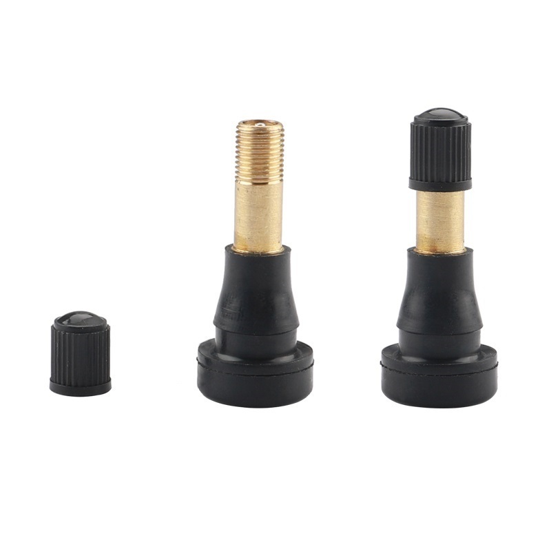 Auto Spare Parts Tyre Valve Tubeless Snap-in Brass Stem and Core EPDM Rubber Tire Valve TR600