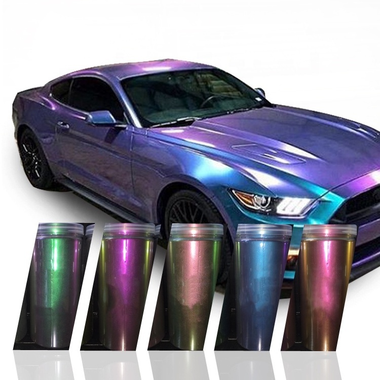 Pearlescent Color Changing Effect Automotive Chameleon Paint Chameleon Pigment Car Paint Mica Powder100 G Spray Powder Coating