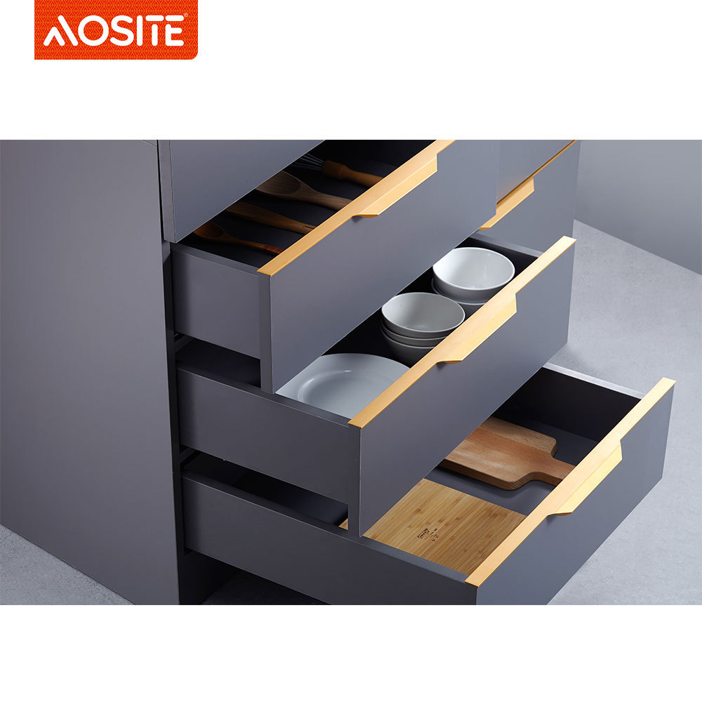 Aosite Hardware Soft Close Furniture Hardware Slim Double Wall Drawer Mental Drawer Box Kitchen Furniture Kitchen Fittings 40KG