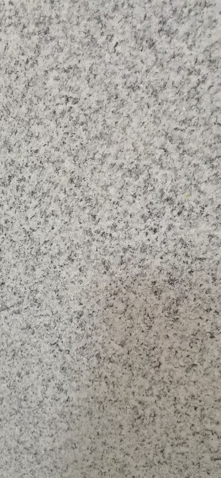 RUIDA STONE Cheap Price Natural Granite G603 Granit Popular Color Slab for Floor Wall Tiles Paving Stone