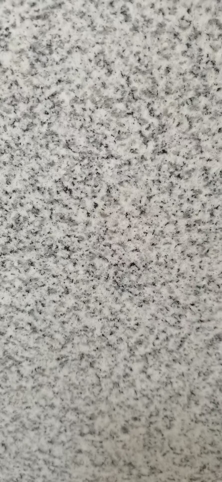 RUIDA STONE Cheap Price Natural Granite G603 Granit Popular Color Slab for Floor Wall Tiles Paving Stone