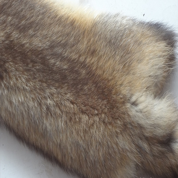 Animal skins real Raccoon dog fur hides high quality raccoon fur skins chinese genuine raccoon