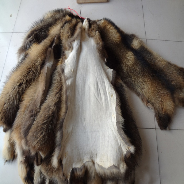 Animal skins real Raccoon dog fur hides high quality raccoon fur skins chinese genuine raccoon