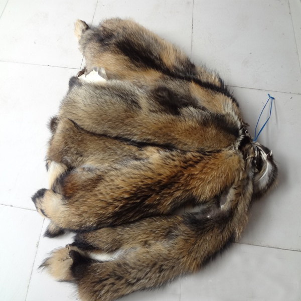 Animal skins real Raccoon dog fur hides high quality raccoon fur skins chinese genuine raccoon