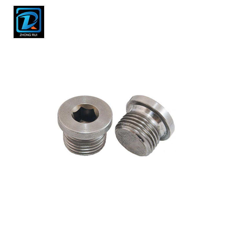 DIN 908 304 Stainless Steel Allen Head Pipe Plug