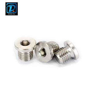 DIN 908 304 Stainless Steel Allen Head Pipe Plug