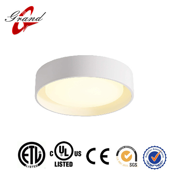 LED Ceiling Light Fixture White,19.5 Inch 24 Watt,  Ceiling Lamp Surface Mount for Kitchen Bedroom  Utility Laundry Closet Room