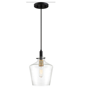 Black One-Light Mini Pendant Light Fixture