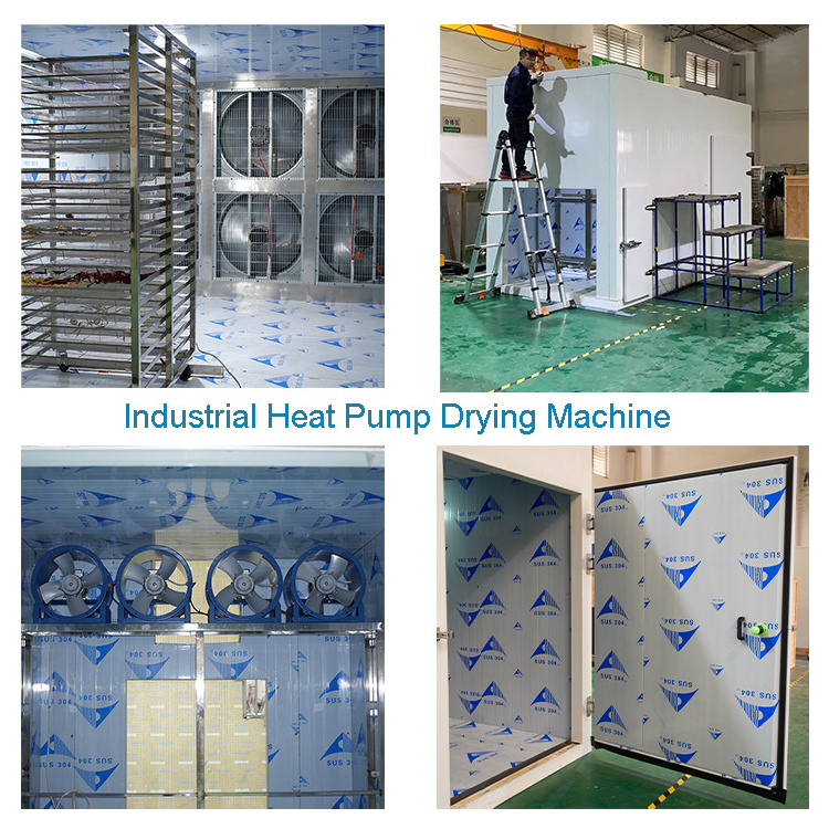 Heat Pump Seafood Drying Chamber Equipment Sea Cucumber Sausage Fish Food Dryer Machine Commercial Meat Dehydrator Machine