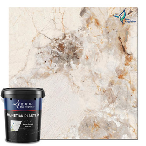 Easy Application Decorative Wall Coating Elegance Paint Clear Coat Color Powder Wall Waterproof Venetian Plaster Coating Paint