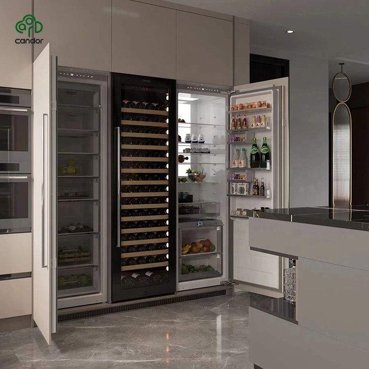 Whole house customization 276L/308L commercial refrigerators freezers brand home kitchen large home refrigerators and freezers