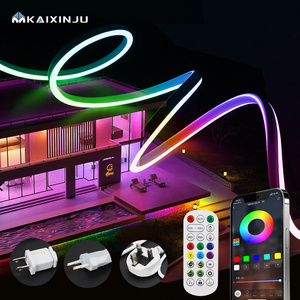 Led Smd 5050 Rgbic Remote Control Waterproof Led Strip Lights AC220V DC24V Decoration Bluetooth Smart Strip Light