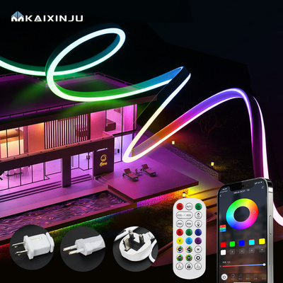 Led Smd 5050 Rgbic Remote Control Waterproof Led Strip Lights AC220V DC24V Decoration Bluetooth Smart Strip Light BestSuppliers