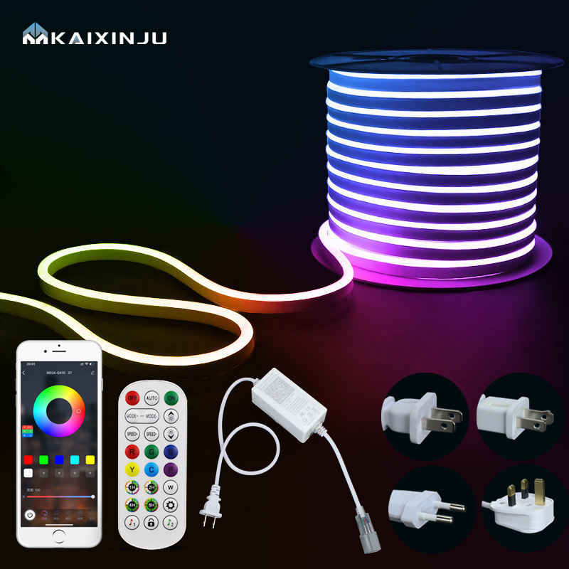 Led Smd 5050 Rgbic Remote Control Waterproof Led Strip Lights AC220V DC24V Decoration Bluetooth Smart Strip Light