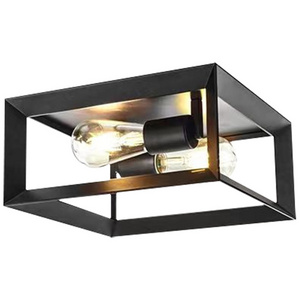 Flush Mount Garden Lobby Ceiling Lights 2-Light Matte Black Modern Room Surface Mounted Indoor Outdoor Square Ceiling Lamp