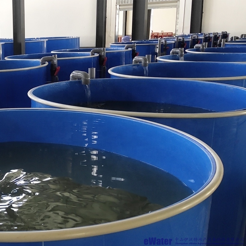 100-ton Water Capacity Ras Fish Farming Equipment Price 5-ton Ras Indoor Fish Farming Cost Cat Fish Ras