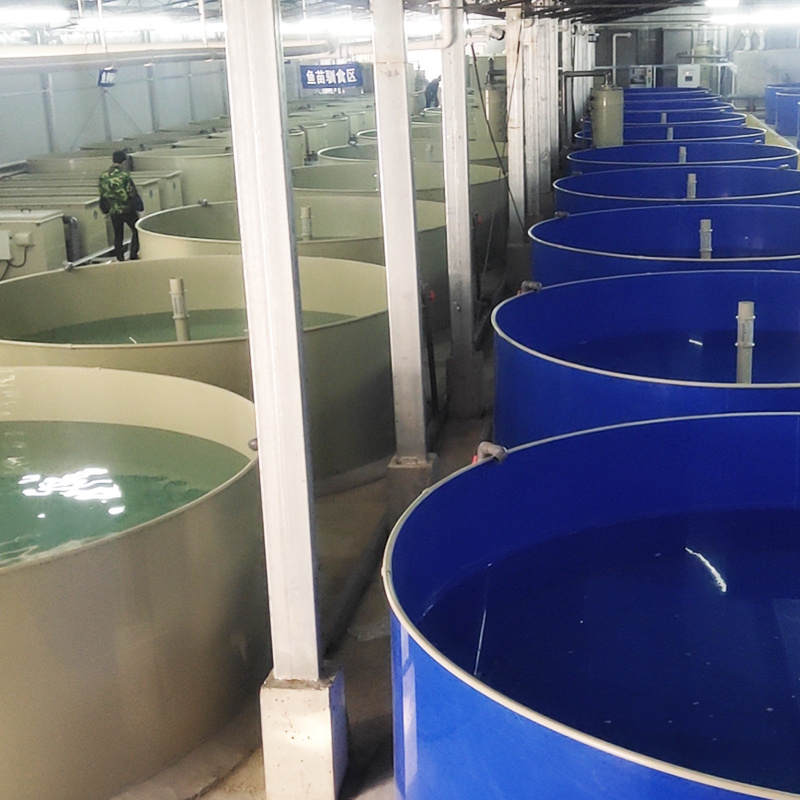 Ewater ras fish farming automatic fish hatchery system and incubator period of fish eggs