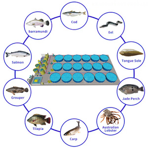 100-ton Water Capacity Ras Fish Farming Equipment Price 5-ton Ras Indoor Fish Farming Cost Cat Fish Ras